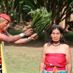День 13. Unveiling Ecuadors Treasures: Culture, Wetlands,
