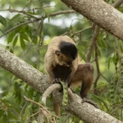 День 5. Baos through the waterfall route or Amazon Tour