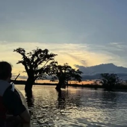 День 2. Enjoy a walk trough the jungle and paddling canoe
