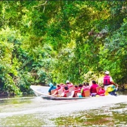 День 2. Enjoy a walk trough the jungle and paddling canoe