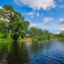День 3. Visit to the Secoya Community