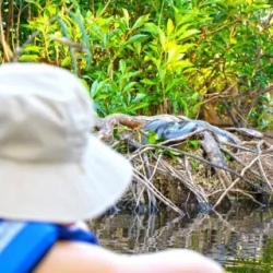 День 4. Hiking & Canoeing in the Rainforest