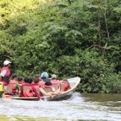День 4. Hiking & Canoeing in the Rainforest
