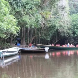 День 5. Enjoy your last paddling canoe -Return to Quito