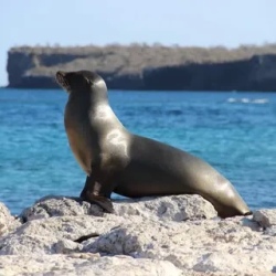 День 3. Full Visit to San Cristobal Island