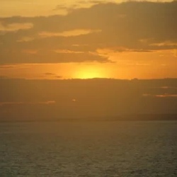 День 5. Tortuga Bay and Visit to Charles Darwin Station