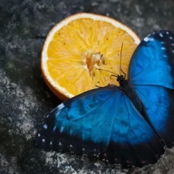 День 2. Mindos Cloud Forest and the Magic of Cacao