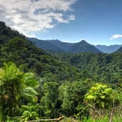 День 2. Mindos Cloud Forest and the Magic of Cacao