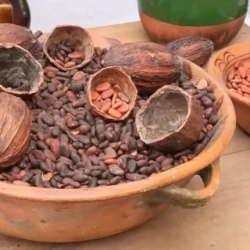 День 3. Sensory Chocolate Journey at Kamm in Quito