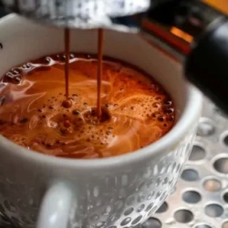 День 5. Coffee Farmer Experience in the Colombian Countrys
