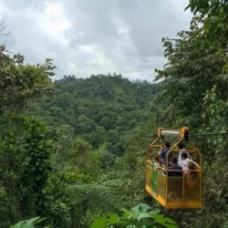 День 6. Mindo Rainforest Escape: Nature and Wildlife Delig