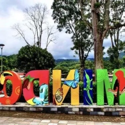 День 7. Mindo Rainforest Escape: Nature and Wildlife Delig
