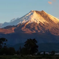 День 5. Peaks & People: From Chimborazo to the Heart of th