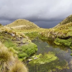 День 7. Highland Reflections: A Day in Cajas National Park