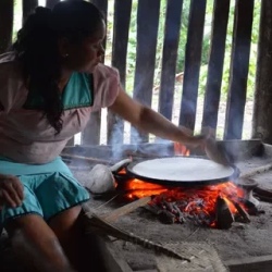 День 10. Dawn to Dusk in the Amazon: Birds, Bread & Biodive