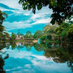 День 7. Into the Amazon: Canoes, Wildlife & Wilderness Roa