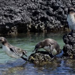 День 2. Expedition Kayaking, Snorkeling, and Local Cooking
