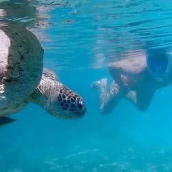 День 6. Exploring Isla Tortuga Sailing, Experiential Fis