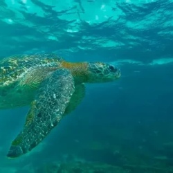 День 3. Kayaking Adventure and Beach Bliss