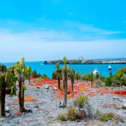 День 4. Santa Fe Island - A Harmony with Nature