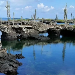 День 5. Isabelas Natural Wonders - A Journey of Discovery