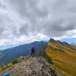День 2. The Highlands to Cloud Forest