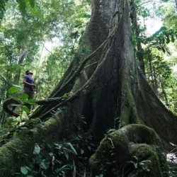 День 3. Tracking Wildlife and Fishing for Piranhas