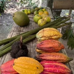 День 2. Exploring the Jungle’s Wonders