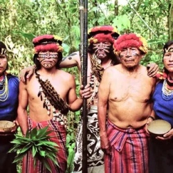 День 4. Secoya Indigenous Community