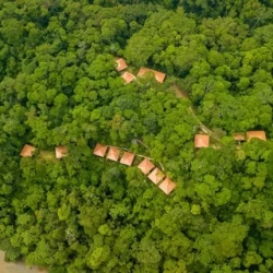 День 3. Farewell to the Amazon Rainforest