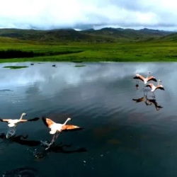 День 3. Wildlife in Tambococha