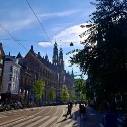 День 5. Переезд в Амстердам