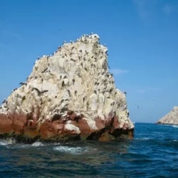 День 4. Морские Львы И Дикие Пляжи
