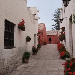 День 7. Арекипа