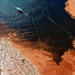 День 5. Погружение в Амазонию: Слияние рек и ночная охота