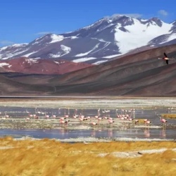 День 18. 22/04/2027 Fiambalá — Ruta de los Seismiles
