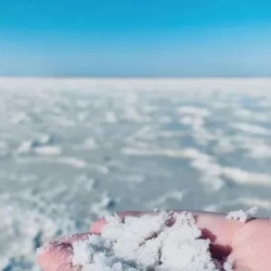 День 10. Встреча с китами