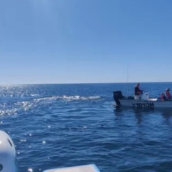 День 8. Морское сафари