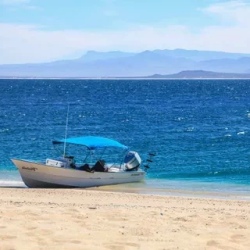 День 2. Пляжи Ла Паса и снорклинг с морскими котиками