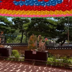 День 3. Фестиваль Lotus Lantern Festival 2026
