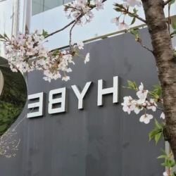 День 7. Свободный день