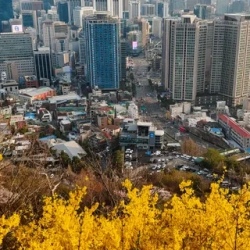 День 4. Сеул