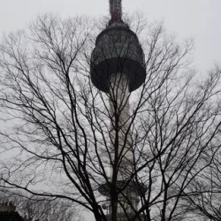 День 3. 19.10.2025