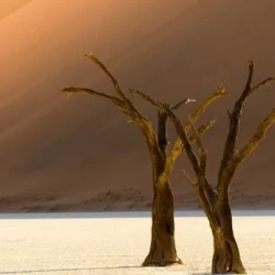День 6. Страна дюн Sossusvlei и мистический Deadvlei.