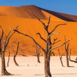 День 6. Страна дюн Sossusvlei и мистический Deadvlei.