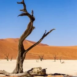 День 7. Страна дюн Sossusvlei и мистический Deadvlei.