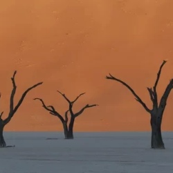 День 7. Страна дюн Sossusvlei и мистический Deadvlei.