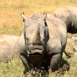 День 2. Nairobi Park