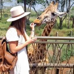 День 5. Giraffe Centre