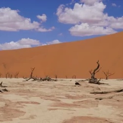 День 7. НАМИБИЯ. РАССВЕТ НА ДЮНАХ И DEAD VLEI